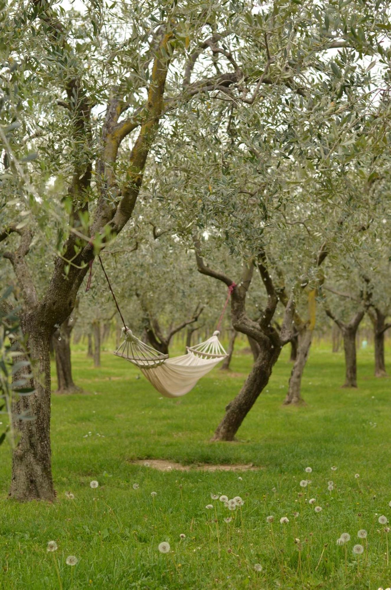 Bed & Breakfast La Cipressina